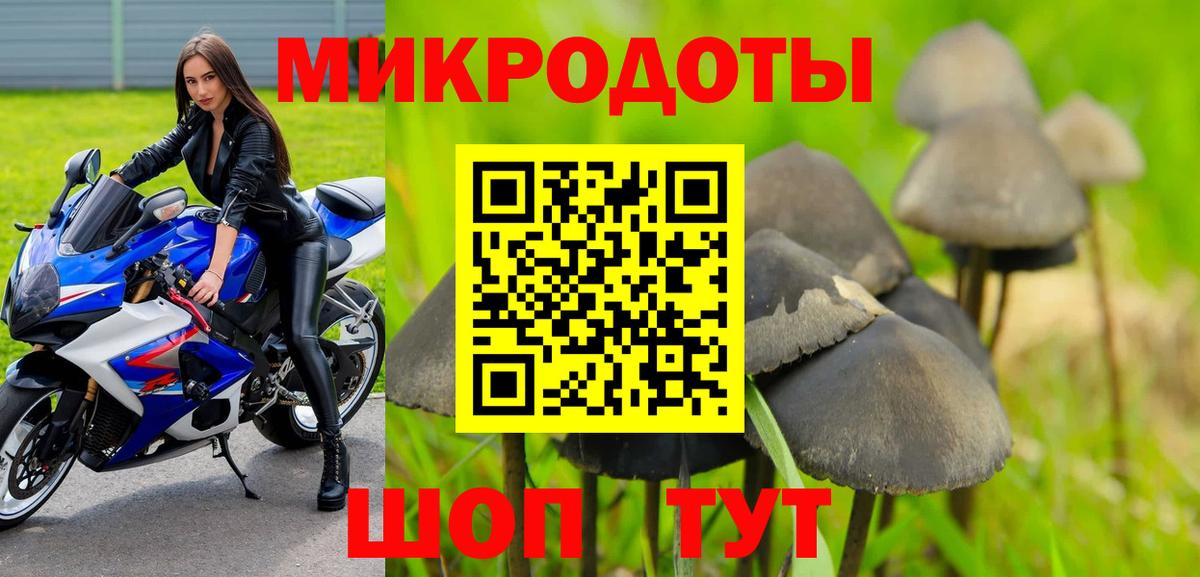 Бошки Шишки Рассказово