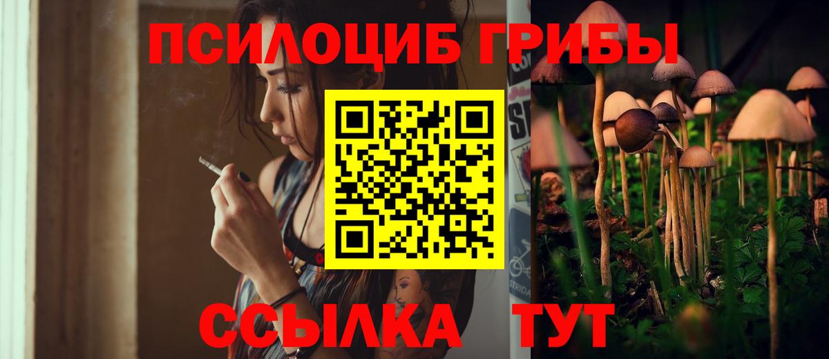 Рассказово  магазин продажи   Вход с VPN  Псилоцибиновые грибы прущие грибы 