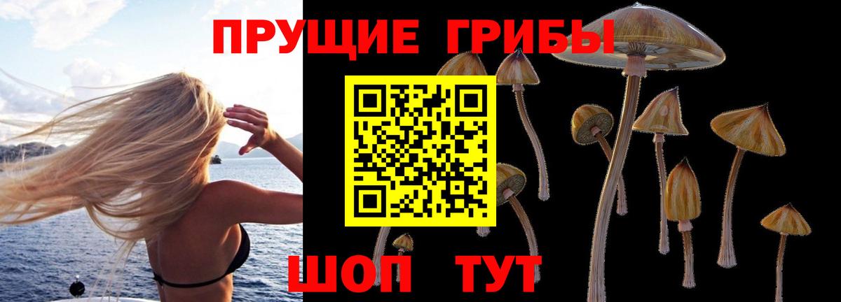 Псилоцибиновые грибы MAGIC MUSHROOMS Рассказово